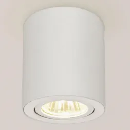 Потолочный светильник Citilux Дюрен CL538111