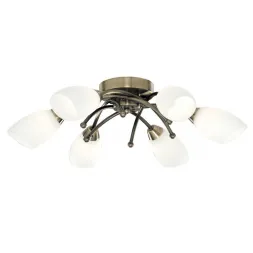 Потолочная люстра Arte Lamp Opal A8186PL-6AB