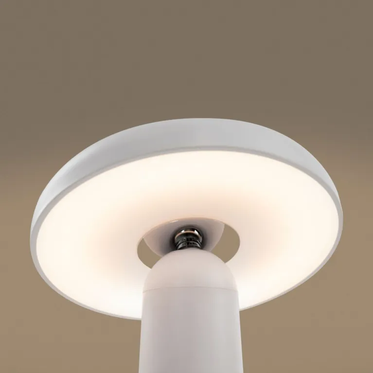 Настольная аккумуляторная лампа Freya Mushroom FR6109TL-L4W в Нижнем Новгороде