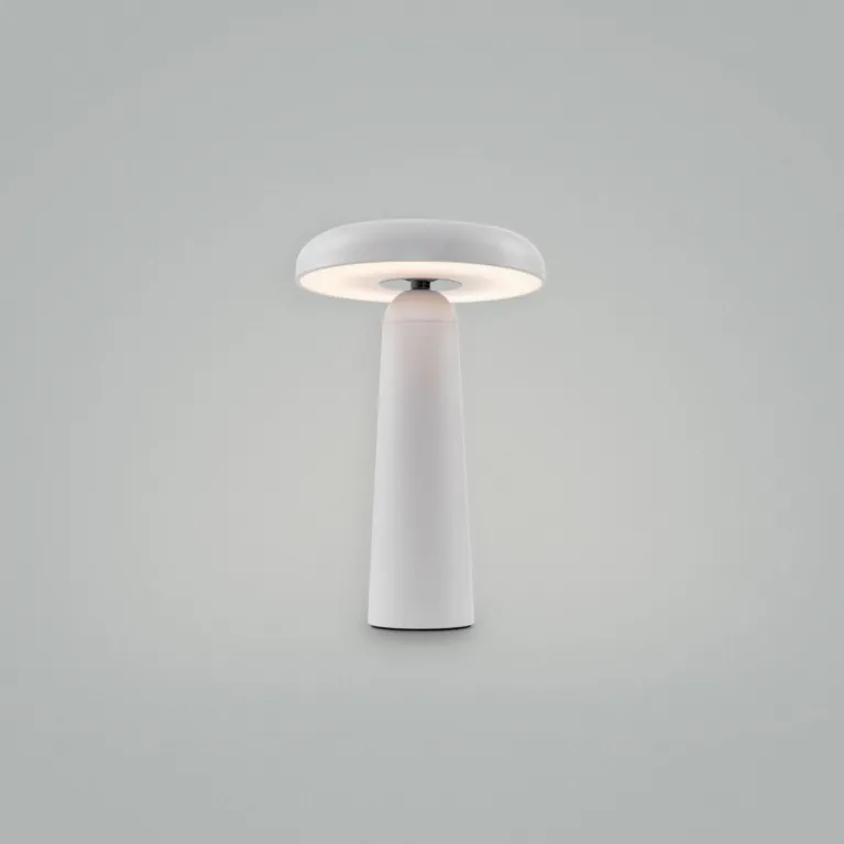 Настольная аккумуляторная лампа Freya Mushroom FR6109TL-L4W в Нижнем Новгороде