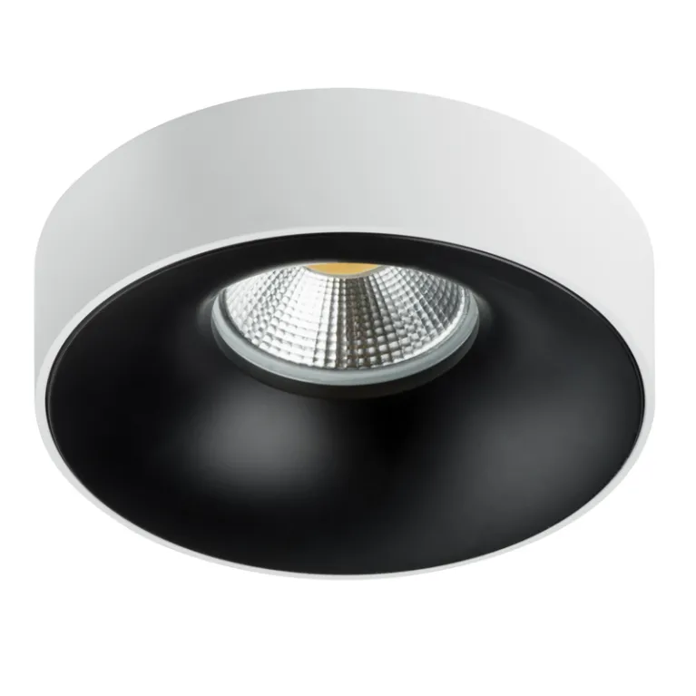 Встраиваемый светильник Lightstar Levigo L01002720 (010027+510020) в Нижнем Новгороде
