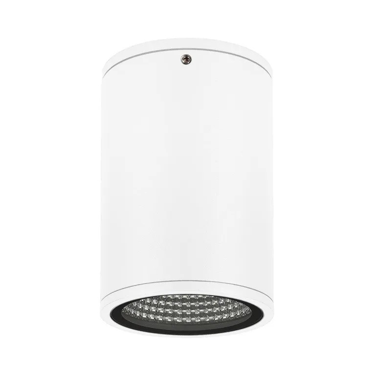 Уличный светодиодный светильник Arlight LGD-Forma-Surface-R90-12W Day4000 037259 в Нижнем Новгороде
