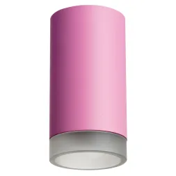 Накладной светильник Lightstar Rullo R43230 (214432+202430)
