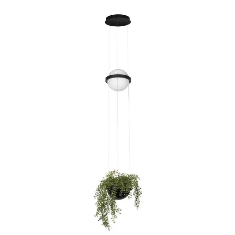 Подвесной светильник LOFT IT Jardin 10121/B в Нижнем Новгороде