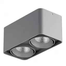 Потолочный светильник Lightstar Monocco 212529