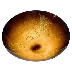Потолочный светильник Lussole Lgo Lava LSN-0922-01