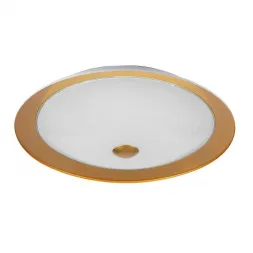 Потолочный светильник Maytoni Euler CL815-PT42-G