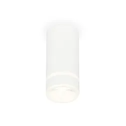 Потолочный светильник Ambrella Light Techno Spot XS8161005 (C8161, N8444)