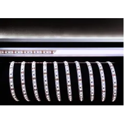Лента светодиодная Deko-Light 3528-120-12V-6500K-3m 840036