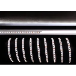 Лента светодиодная Deko-Light 3528-120-12V-6500K-5m-nano 840171