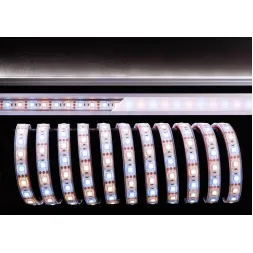 Лента светодиодная Deko-Light 5050-60-12V-3000K+6500K-5m 840098