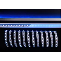 Лента светодиодная Deko-Light 5050-60-24V-RGB+6200K-5m 840238