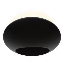 Настенный светодиодный светильник iLedex Light Flux ZD8152-6W BK