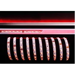 Лента светодиодная Deko-Light 5050-60-24V-RGB-5m 840254