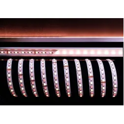 Лента светодиодная Deko-Light 5050-96-24V-RGB+4200K-5m 840216