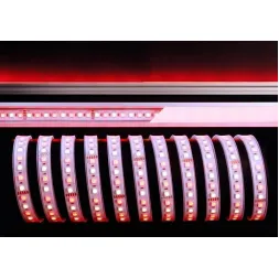 Лента светодиодная Deko-Light 5050-96-24V-RGB+4200K-5m-silicon 840218