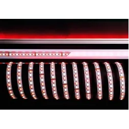Лента светодиодная Deko-Light 5050-96-24V-RGB+6200K-3m 840215