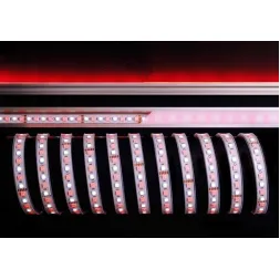 Лента светодиодная Deko-Light 5050-96-24V-RGB+6200K-5m-silicon 840219