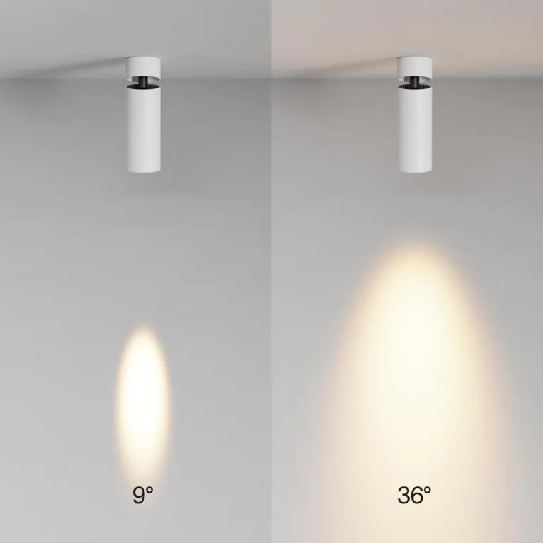 Спот Maytoni Technical Focus Led C055CL-L12W2.7K-SS-W в Нижнем Новгороде