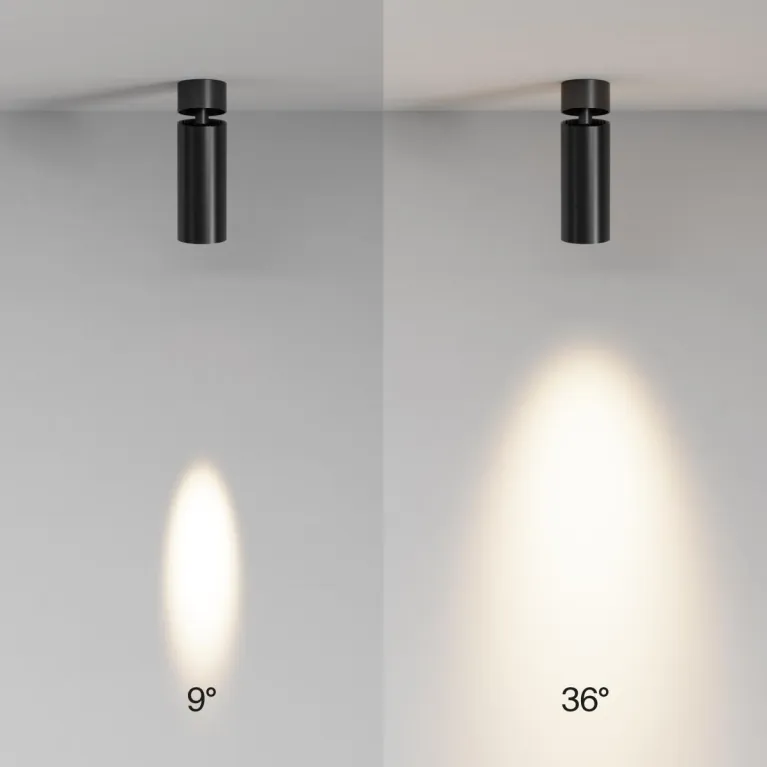 Спот Maytoni Technical Focus Led C055CL-L12W2.7K-SS-B в Нижнем Новгороде