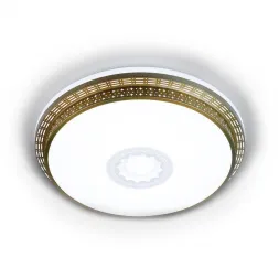 Потолочный светодиодный светильник Ambrella light Orbital F130 WH GD 72W D500