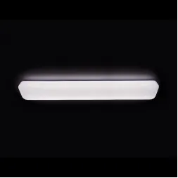 Потолочный светодиодный светильник Ambrella light Orbital Tube F317 WH 96W S1200