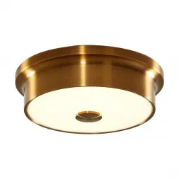 Потолочный светодиодный светильник Citilux Фостер-2 CL706212