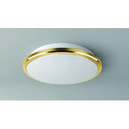 Потолочный светодиодный светильник Citilux Луна CL702222W