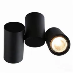 Спот Arte Lamp Gavroche A1511PL-2BK