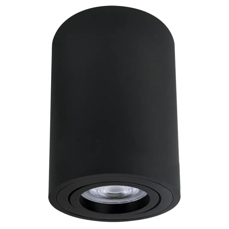 Накладной светильник Arte Lamp Sentry A1566PL-1BK в Нижнем Новгороде
