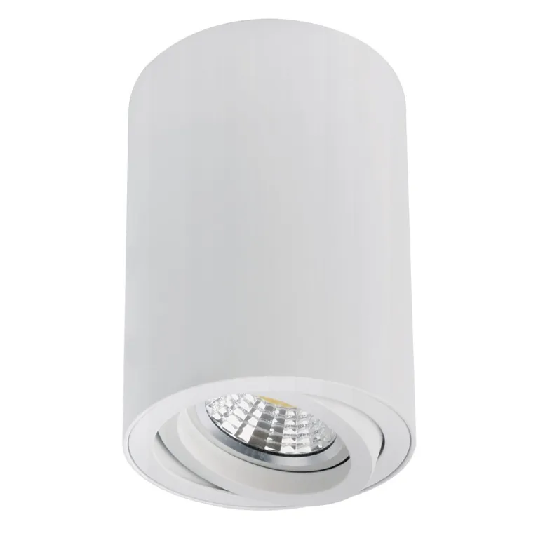 Накладной светильник Arte Lamp Sentry A1566PL-1WH в Нижнем Новгороде