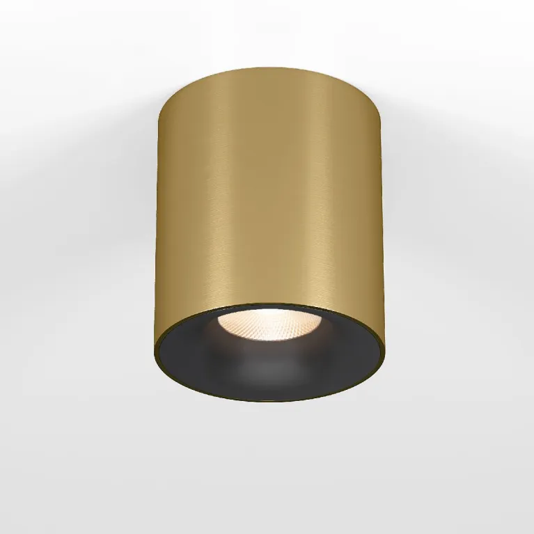 Накладной светильник Elektrostandard Primo 25116/LED 4690389212994 a069413 в Нижнем Новгороде