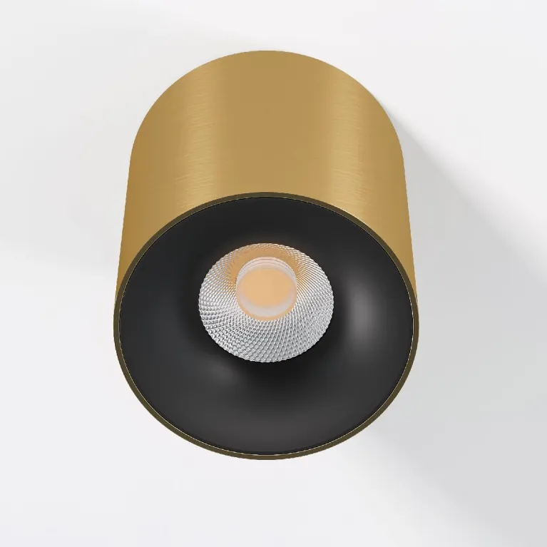 Накладной светильник Elektrostandard Primo 25116/LED 4690389212994 a069413 в Нижнем Новгороде