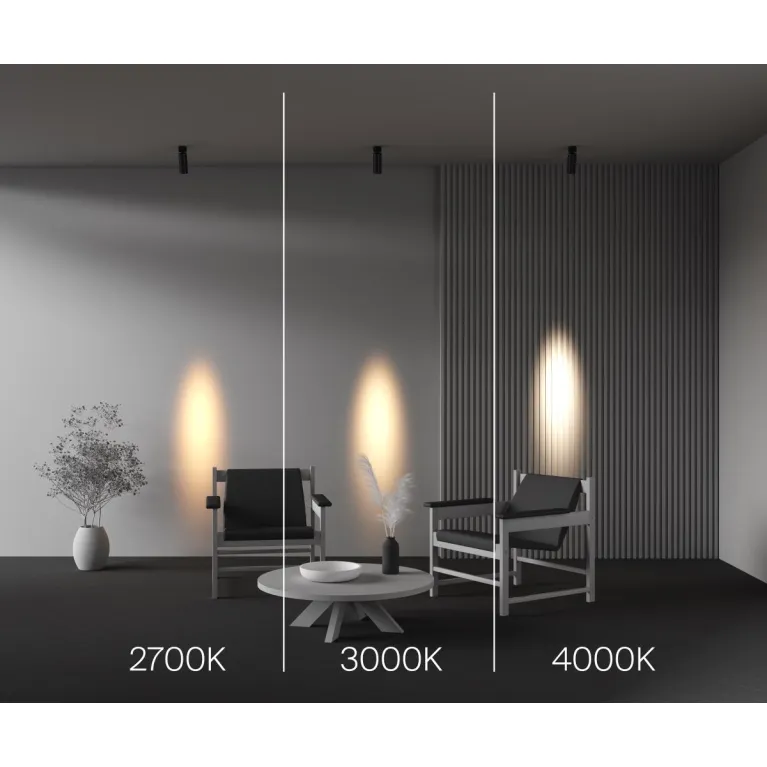 Спот Maytoni Technical Focus Led C055CL-L12W4K-SS-B в Нижнем Новгороде