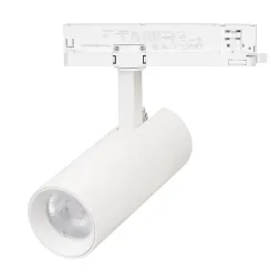Трековый однофазный светильник Arlight LGD-GERA-2TR-R55-10W Day4000 (WH, 24 deg, 230V) 055035