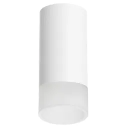 Накладной светильник Lightstar Rullo R43631 (214436+202431)