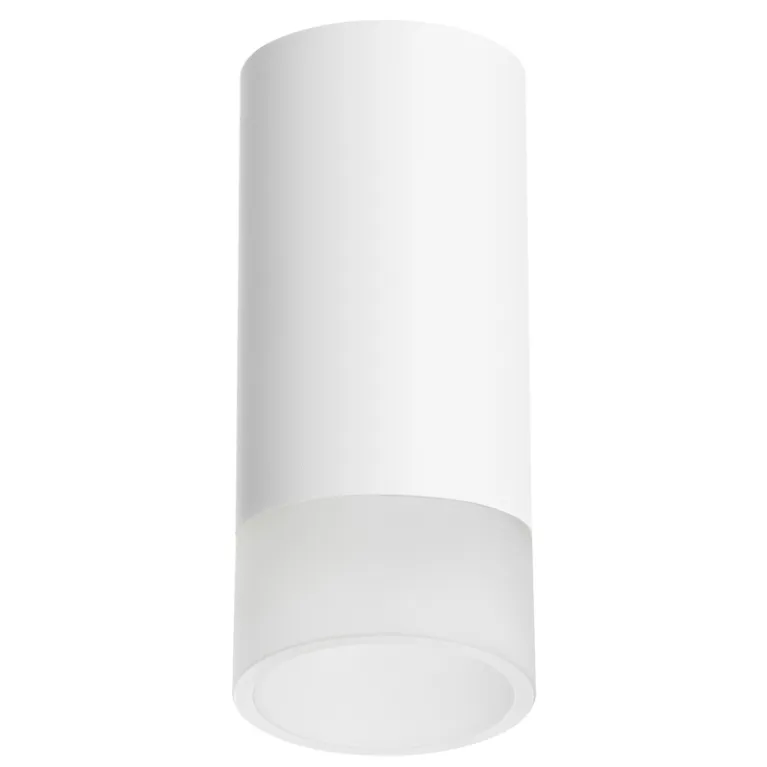 Накладной светильник Lightstar Rullo R43631 (214436+202431) в Нижнем Новгороде