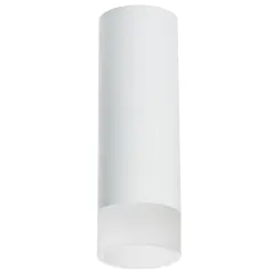 Накладной светильник Lightstar Rullo R48631 (214486+202431)