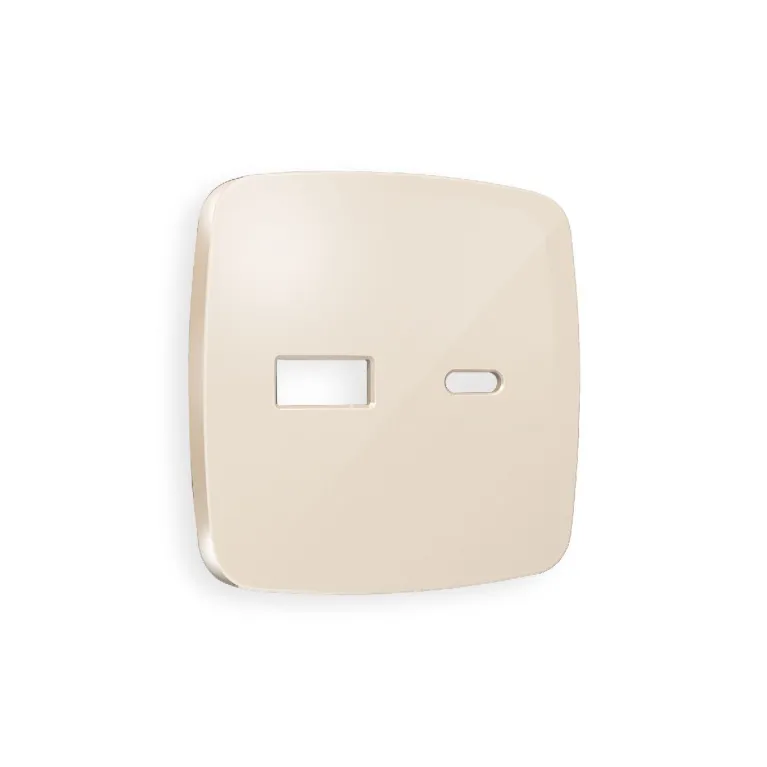 Лицевая панель для розетки 2USB тип A+C Ambrella Volt Omega OP3110 в Нижнем Новгороде