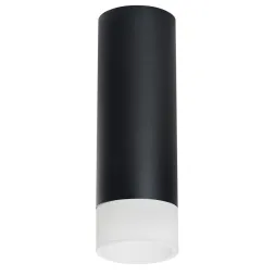 Накладной светильник Lightstar Rullo R48731 (214487+202431)