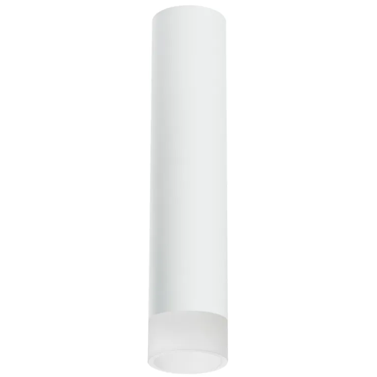 Накладной светильник Lightstar Rullo R49631 (214496+202431) в Нижнем Новгороде