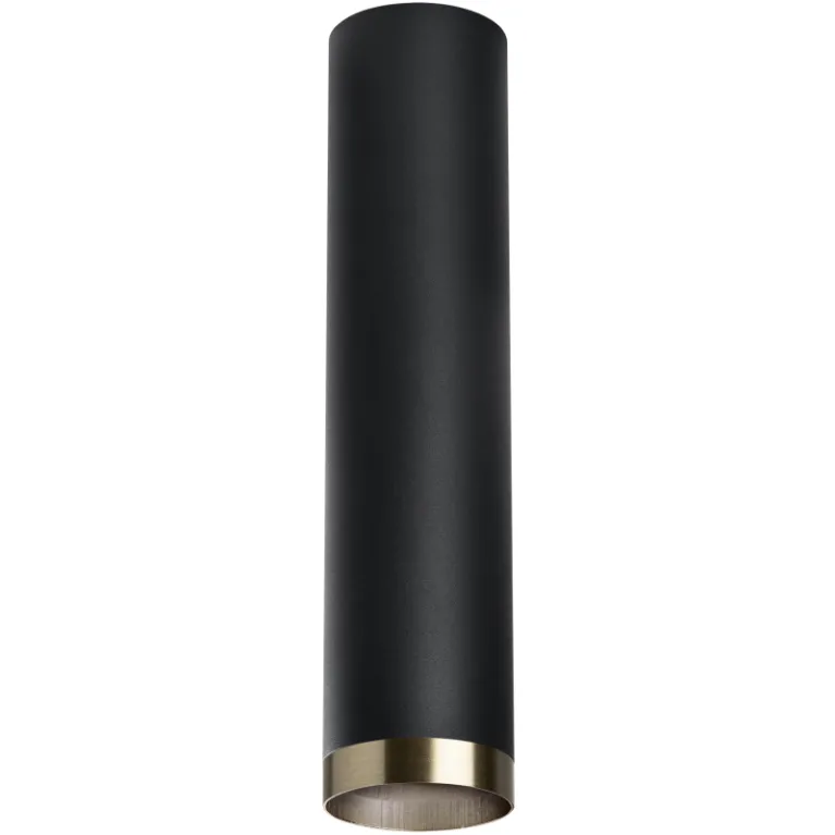 Накладной светильник Lightstar Rullo R497431 (214497+203431) в Нижнем Новгороде