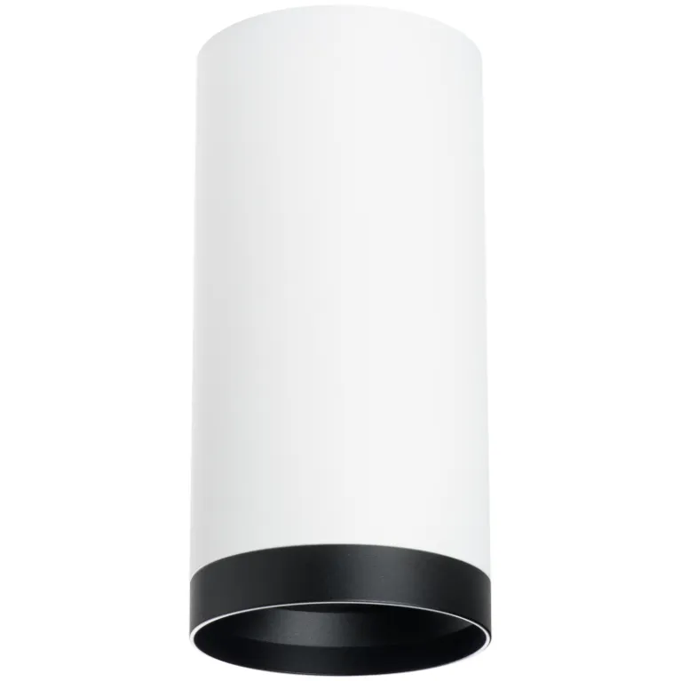 Накладной светильник Lightstar Rullo R64863487 (216486+203487) в Нижнем Новгороде