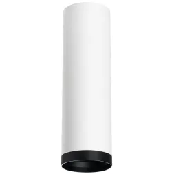 Накладной светильник Lightstar Rullo R64963487 (216496+203487)