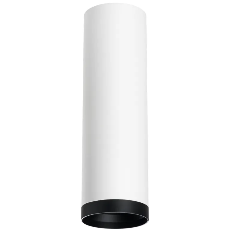 Накладной светильник Lightstar Rullo R64963487 (216496+203487) в Нижнем Новгороде