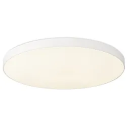 Потолочный светильник Simple Story 1204-LED48CL