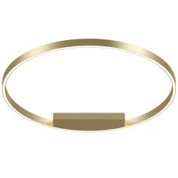 Потолочная люстра Maytoni Rim MOD058CL-L50BSK