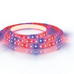 Светодиодная влагозащищенная лента для растений Feron 9,6W/m 120LED/m 2835SMD холодный белый 5M LS67