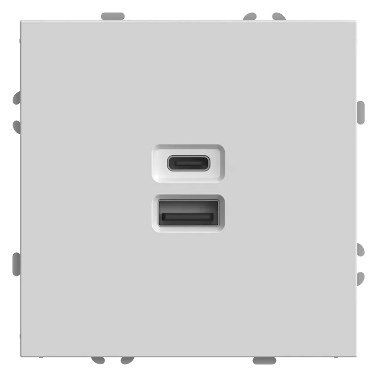 Розетка 2-местная USB + Type C Stekker RST10-5115-01 Эмили 49879 в Нижнем Новгороде