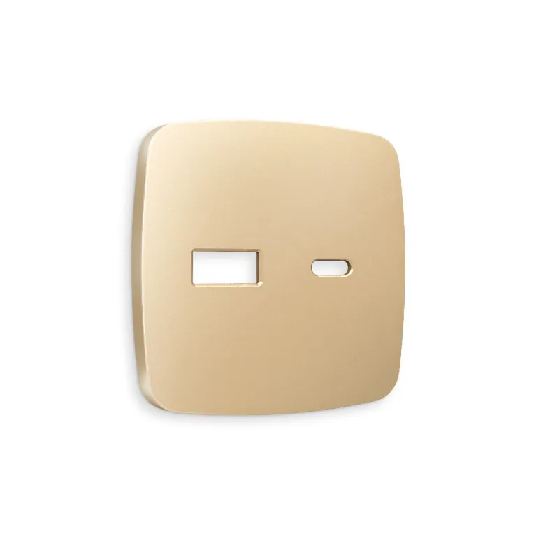 Лицевая панель для розетки 2USB тип A+C Ambrella Volt Omega OP6110 в Нижнем Новгороде